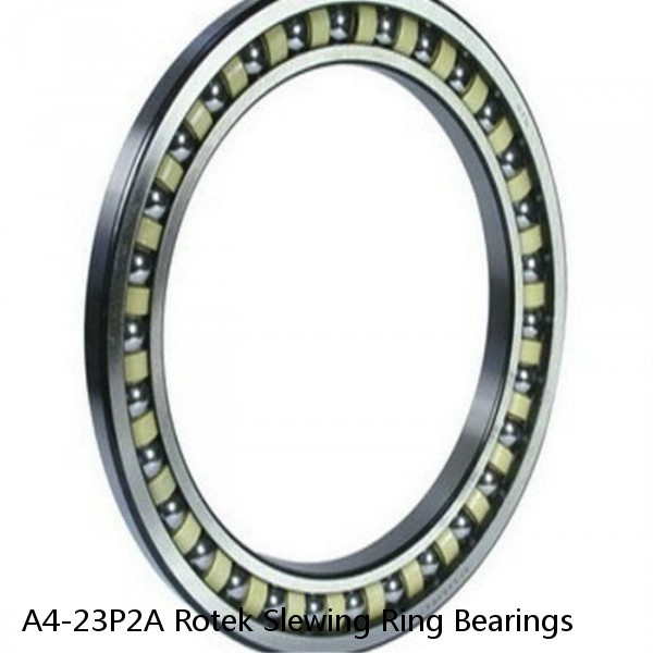 A4-23P2A Rotek Slewing Ring Bearings