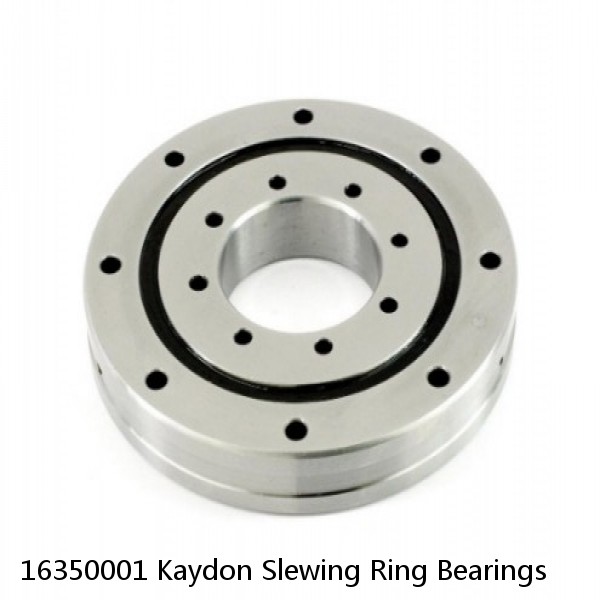 16350001 Kaydon Slewing Ring Bearings