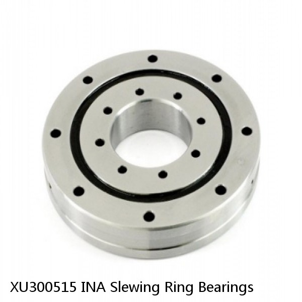 XU300515 INA Slewing Ring Bearings