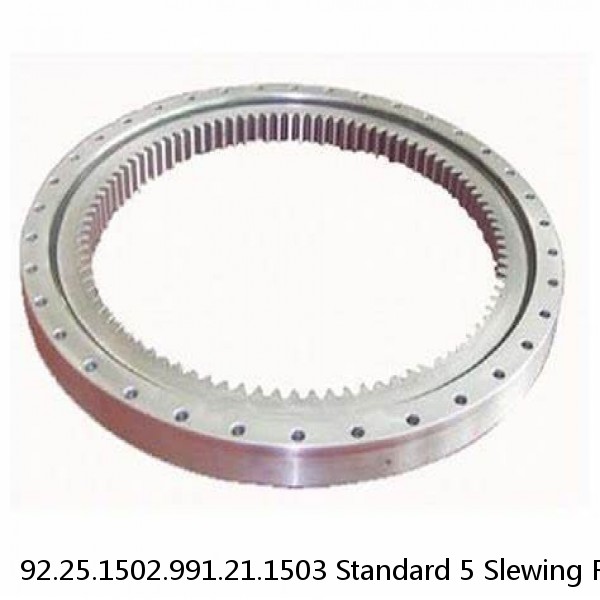 92.25.1502.991.21.1503 Standard 5 Slewing Ring Bearings