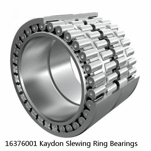 16376001 Kaydon Slewing Ring Bearings