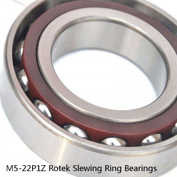 M5-22P1Z Rotek Slewing Ring Bearings