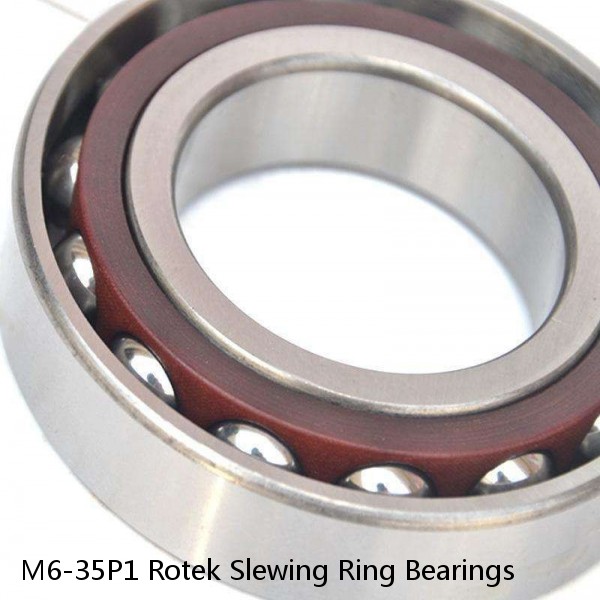 M6-35P1 Rotek Slewing Ring Bearings