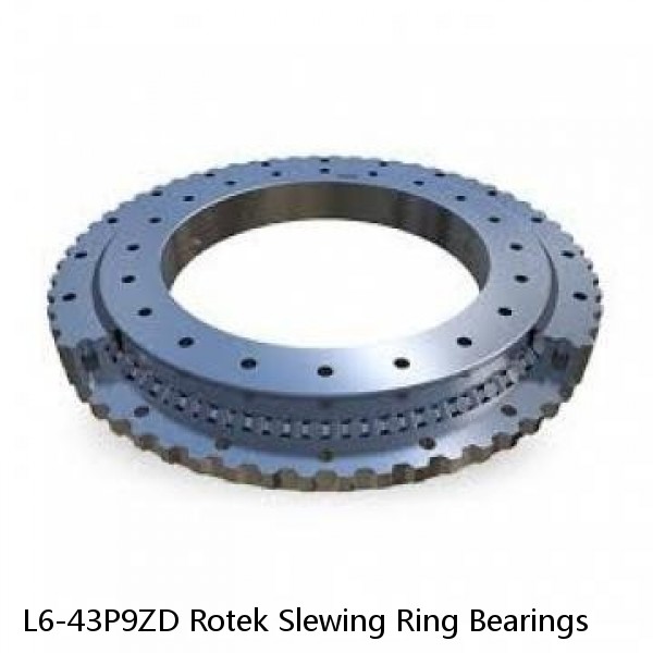 L6-43P9ZD Rotek Slewing Ring Bearings