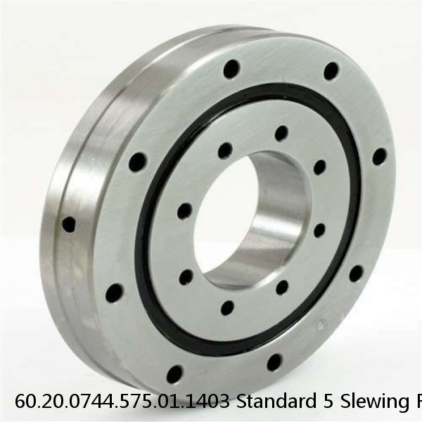 60.20.0744.575.01.1403 Standard 5 Slewing Ring Bearings