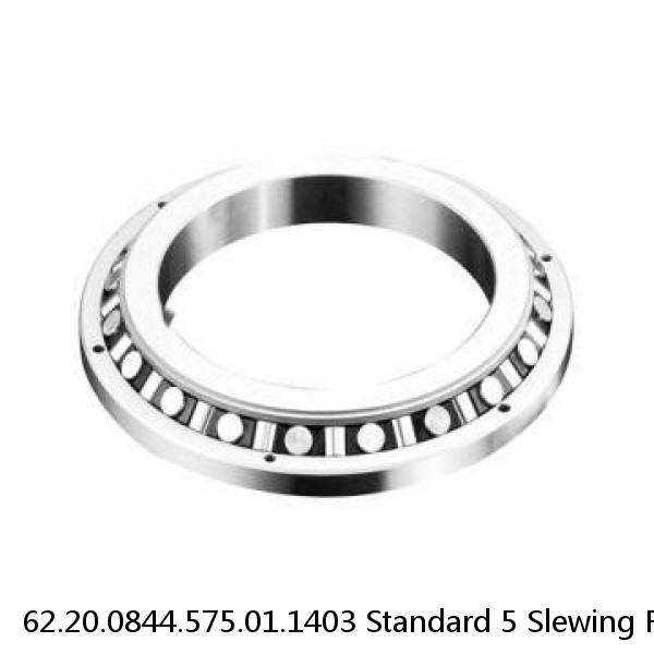 62.20.0844.575.01.1403 Standard 5 Slewing Ring Bearings