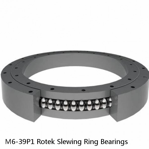 M6-39P1 Rotek Slewing Ring Bearings