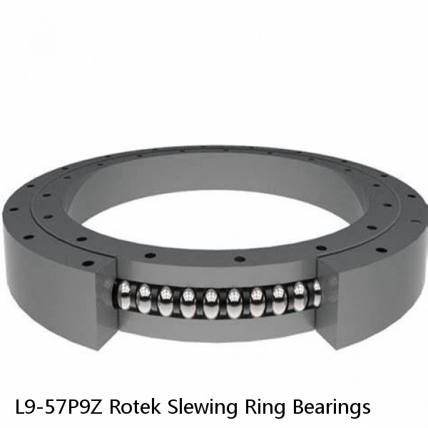 L9-57P9Z Rotek Slewing Ring Bearings