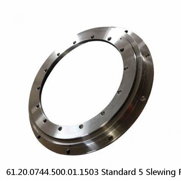 61.20.0744.500.01.1503 Standard 5 Slewing Ring Bearings