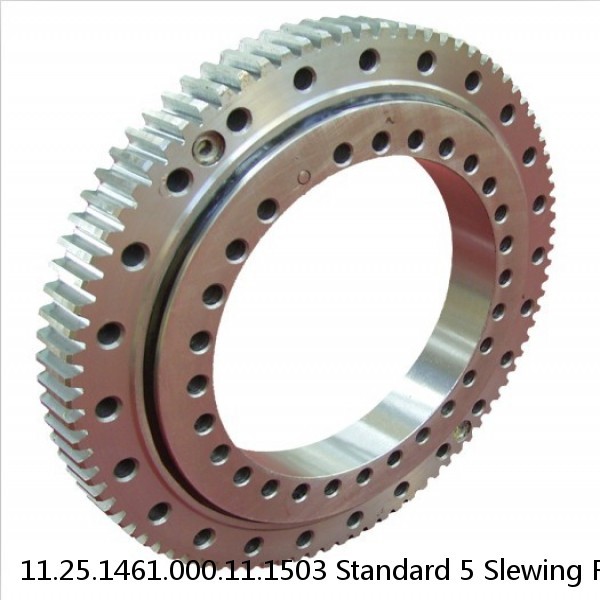 11.25.1461.000.11.1503 Standard 5 Slewing Ring Bearings