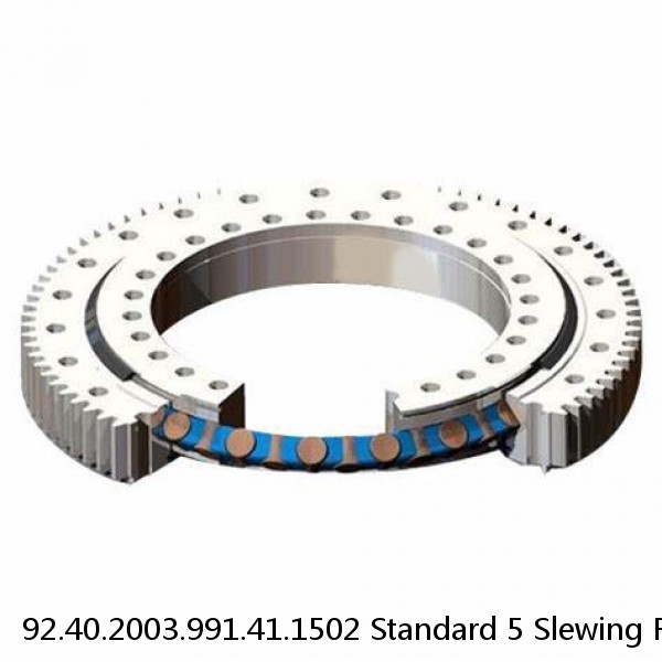 92.40.2003.991.41.1502 Standard 5 Slewing Ring Bearings