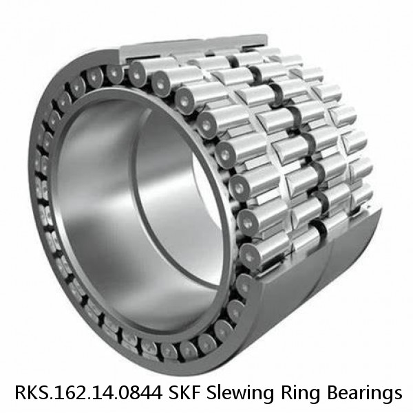 RKS.162.14.0844 SKF Slewing Ring Bearings