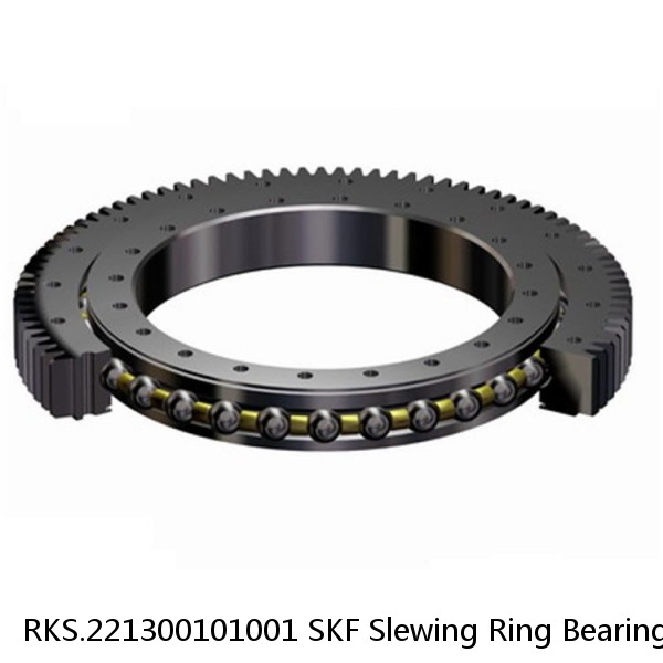 RKS.221300101001 SKF Slewing Ring Bearings