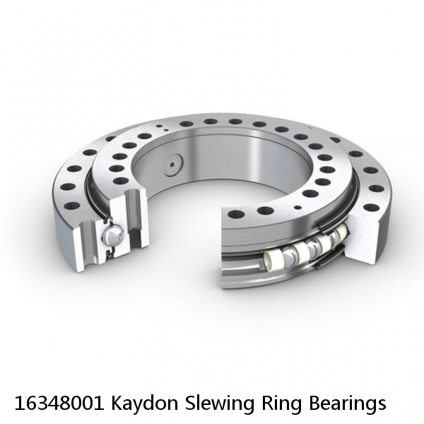 16348001 Kaydon Slewing Ring Bearings