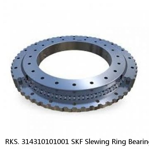 RKS. 314310101001 SKF Slewing Ring Bearings