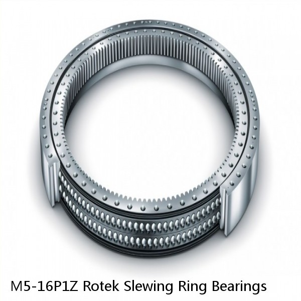 M5-16P1Z Rotek Slewing Ring Bearings