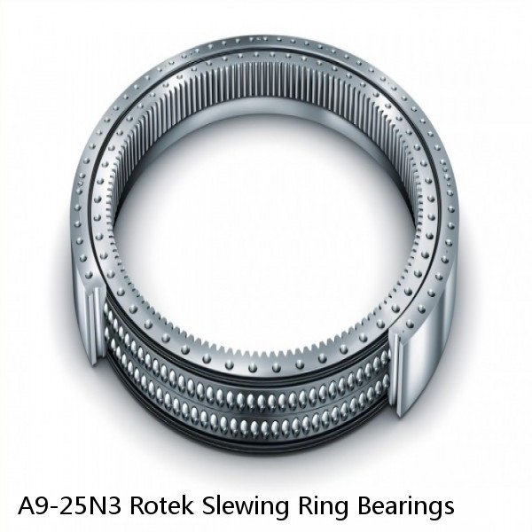 A9-25N3 Rotek Slewing Ring Bearings