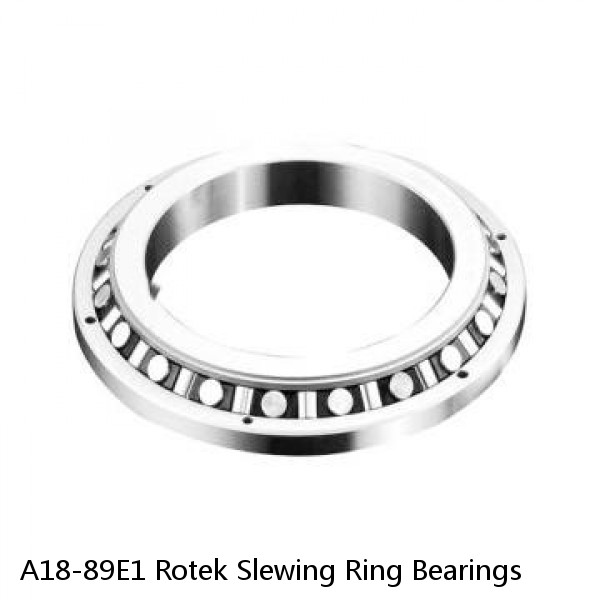 A18-89E1 Rotek Slewing Ring Bearings