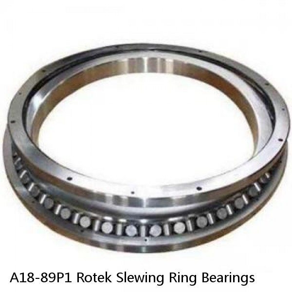 A18-89P1 Rotek Slewing Ring Bearings