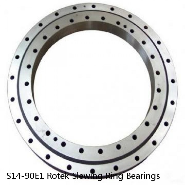 S14-90E1 Rotek Slewing Ring Bearings