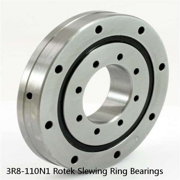 3R8-110N1 Rotek Slewing Ring Bearings