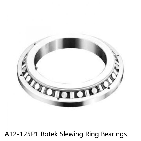 A12-125P1 Rotek Slewing Ring Bearings