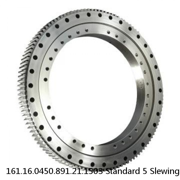 161.16.0450.891.21.1503 Standard 5 Slewing Ring Bearings