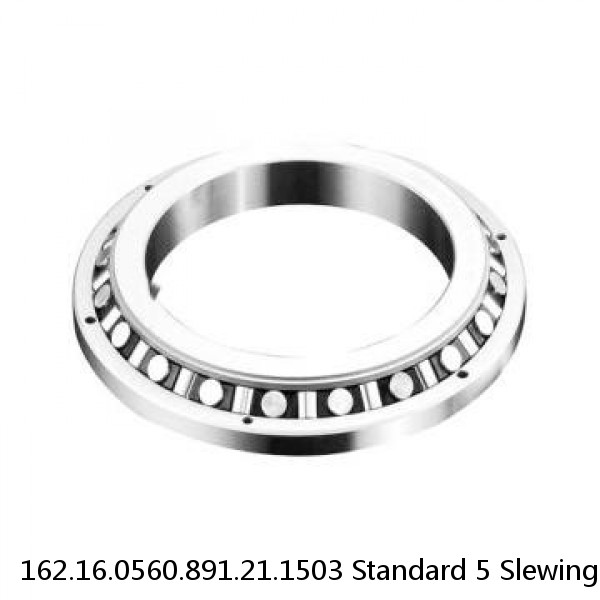 162.16.0560.891.21.1503 Standard 5 Slewing Ring Bearings