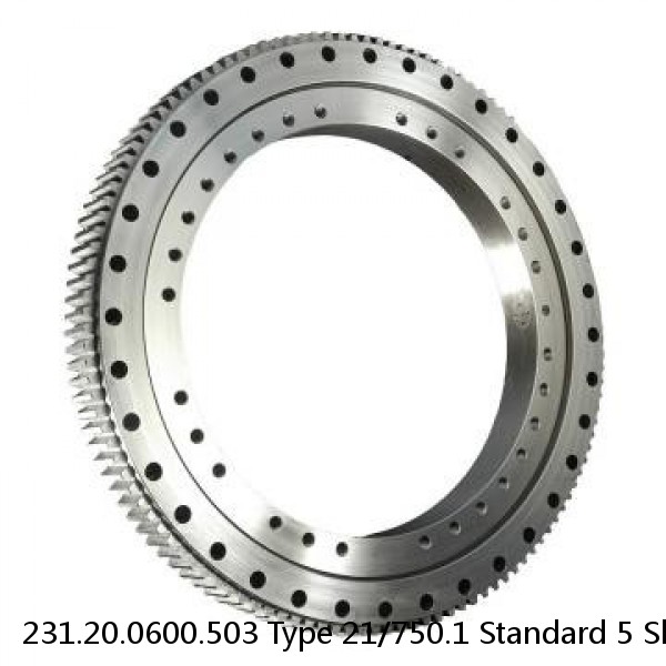 231.20.0600.503 Type 21/750.1 Standard 5 Slewing Ring Bearings