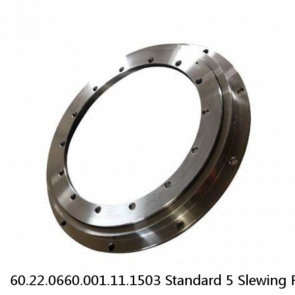 60.22.0660.001.11.1503 Standard 5 Slewing Ring Bearings