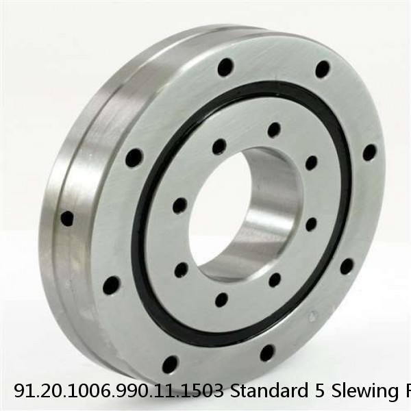 91.20.1006.990.11.1503 Standard 5 Slewing Ring Bearings