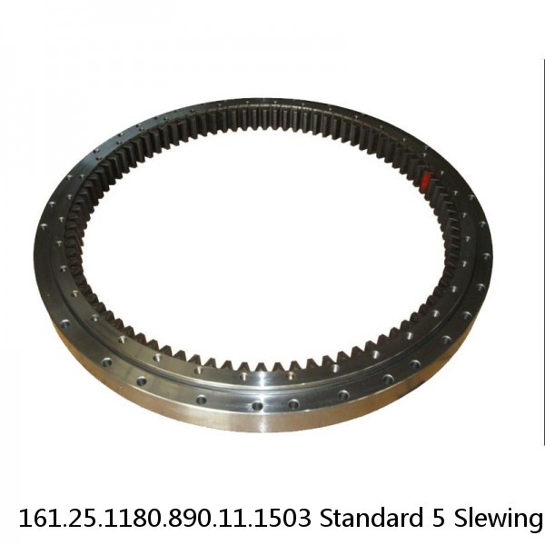 161.25.1180.890.11.1503 Standard 5 Slewing Ring Bearings