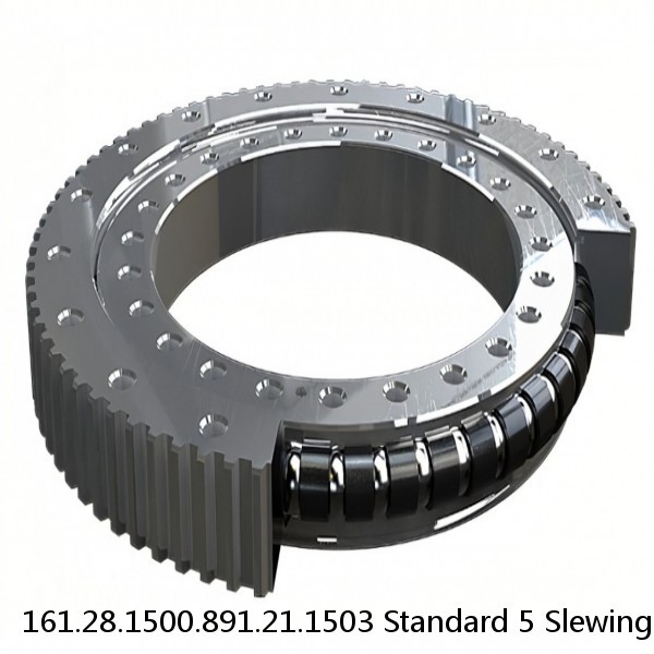 161.28.1500.891.21.1503 Standard 5 Slewing Ring Bearings