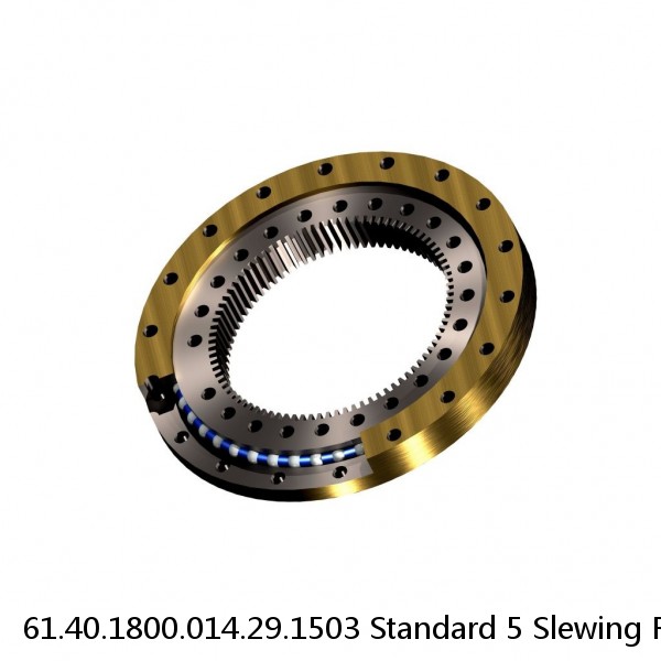 61.40.1800.014.29.1503 Standard 5 Slewing Ring Bearings