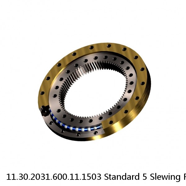 11.30.2031.600.11.1503 Standard 5 Slewing Ring Bearings