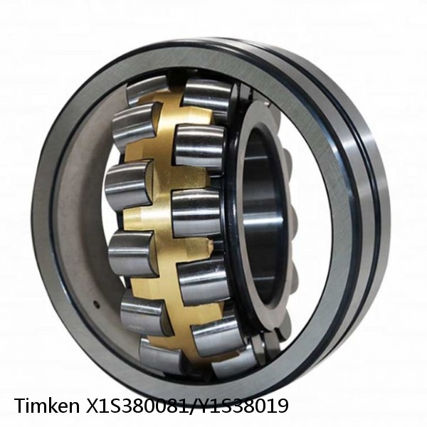 X1S380081/Y1S38019 Timken Spherical Roller Bearing