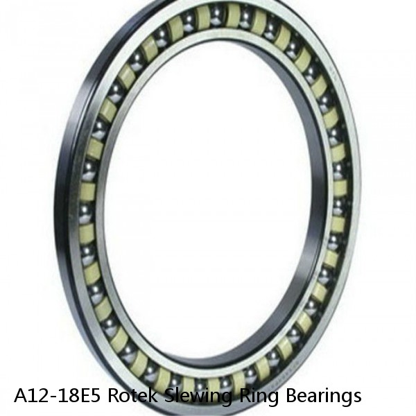 A12-18E5 Rotek Slewing Ring Bearings