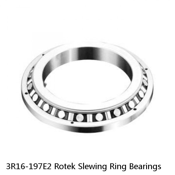 3R16-197E2 Rotek Slewing Ring Bearings