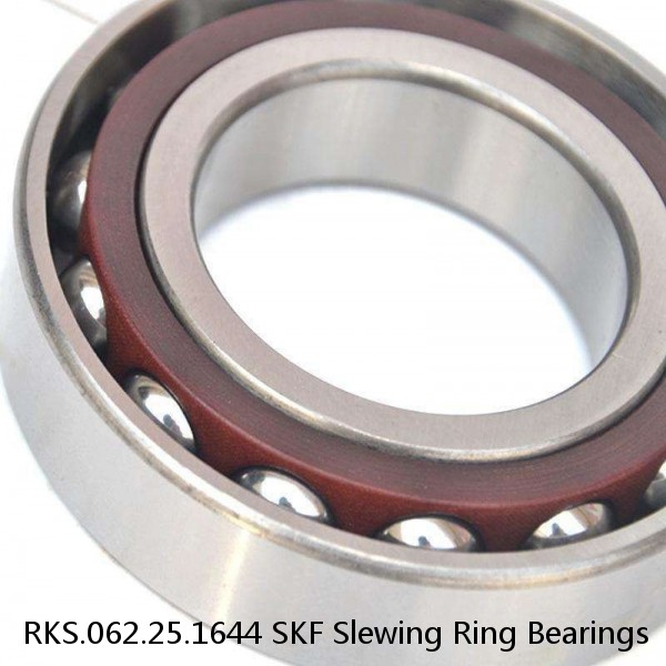 RKS.062.25.1644 SKF Slewing Ring Bearings