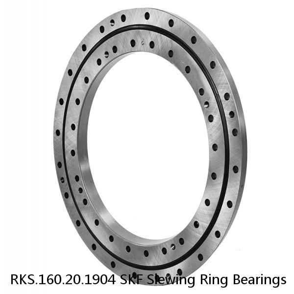 RKS.160.20.1904 SKF Slewing Ring Bearings