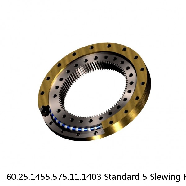 60.25.1455.575.11.1403 Standard 5 Slewing Ring Bearings