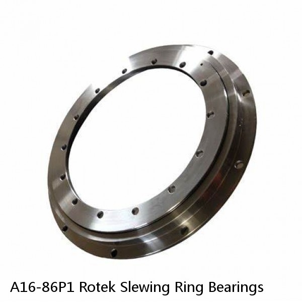 A16-86P1 Rotek Slewing Ring Bearings