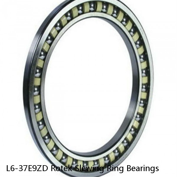 L6-37E9ZD Rotek Slewing Ring Bearings