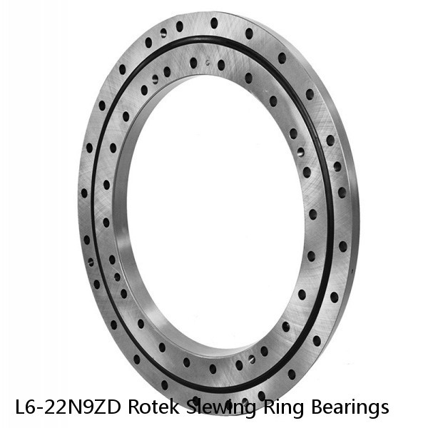 L6-22N9ZD Rotek Slewing Ring Bearings