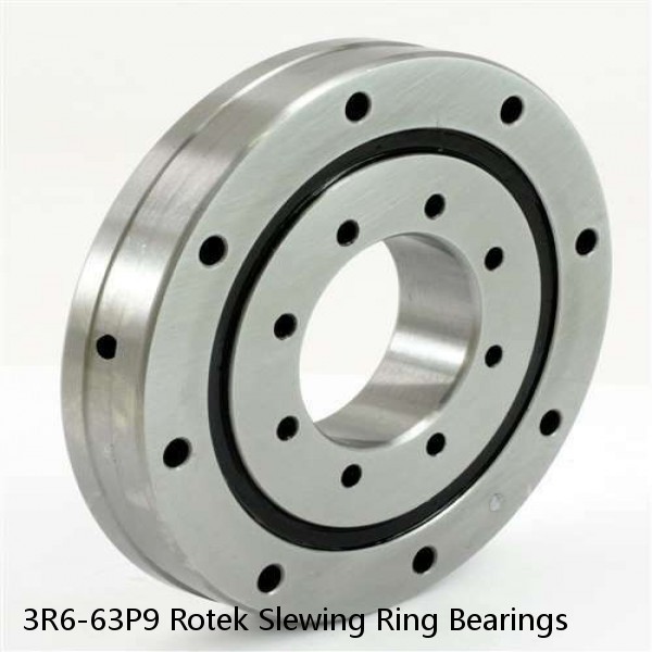 3R6-63P9 Rotek Slewing Ring Bearings