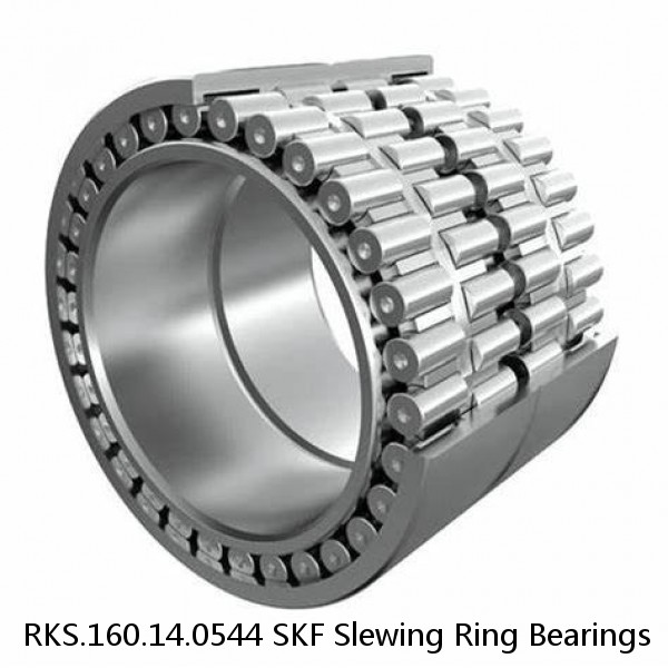 RKS.160.14.0544 SKF Slewing Ring Bearings