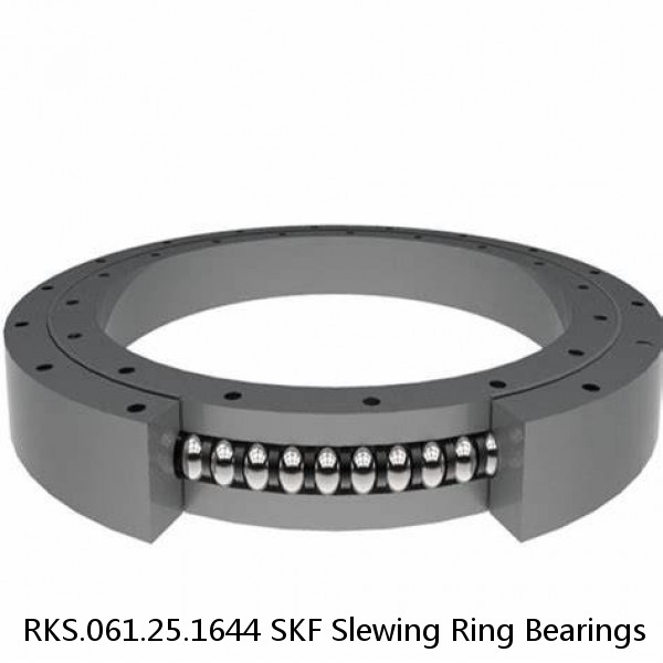 RKS.061.25.1644 SKF Slewing Ring Bearings