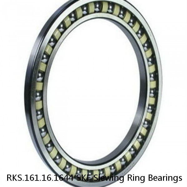 RKS.161.16.1644 SKF Slewing Ring Bearings