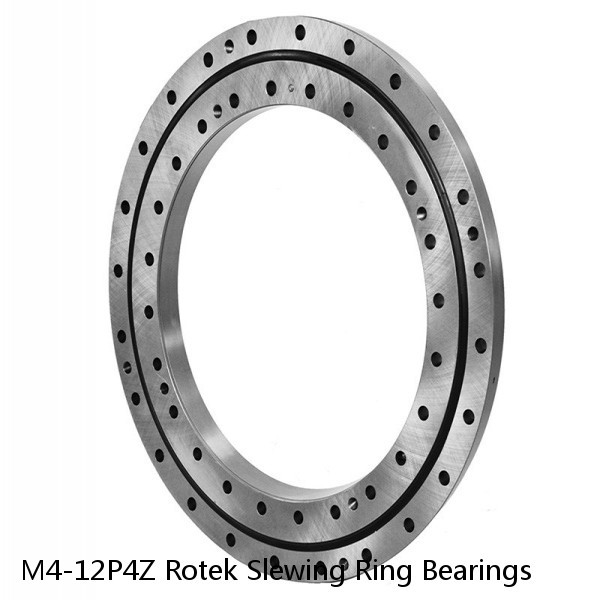 M4-12P4Z Rotek Slewing Ring Bearings