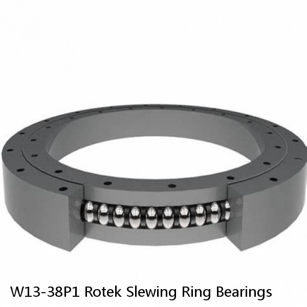 W13-38P1 Rotek Slewing Ring Bearings